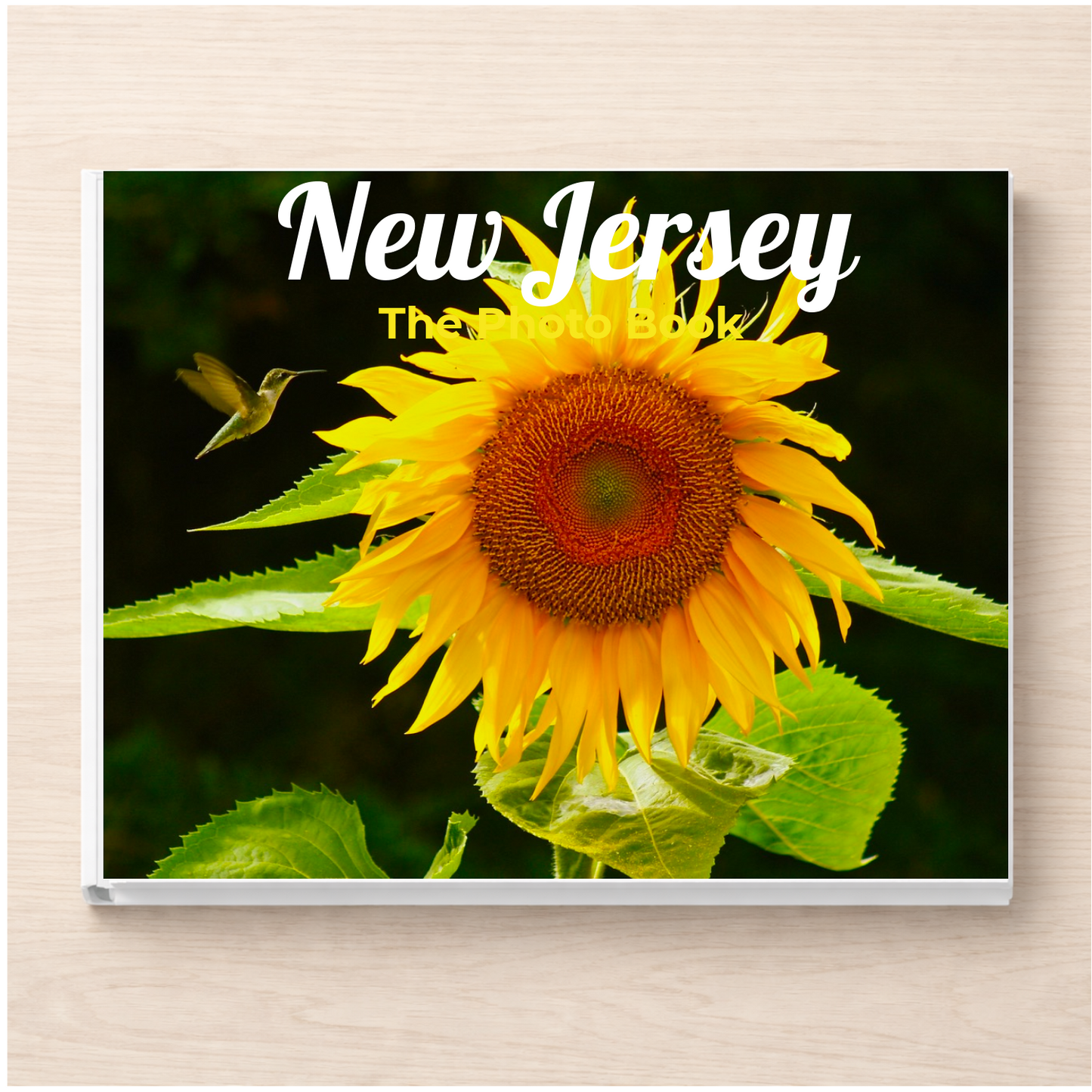 New Jersey: The Photo Book