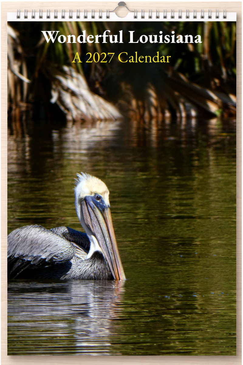 Wonderful Louisiana: A 2027 Calendar