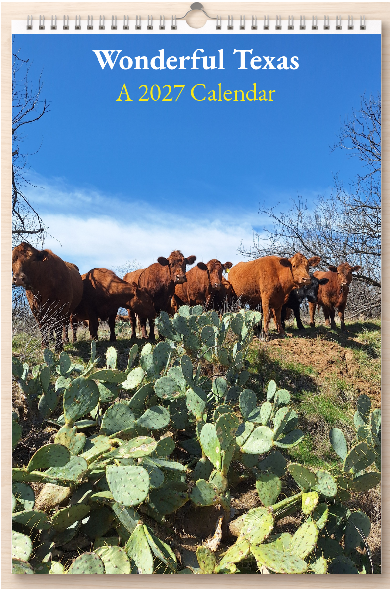 Wonderful Texas: A 2027 Calendar