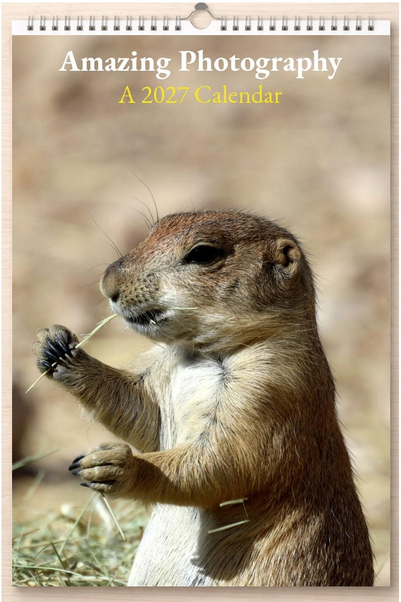 Amazing Photography: A 2027 Calendar