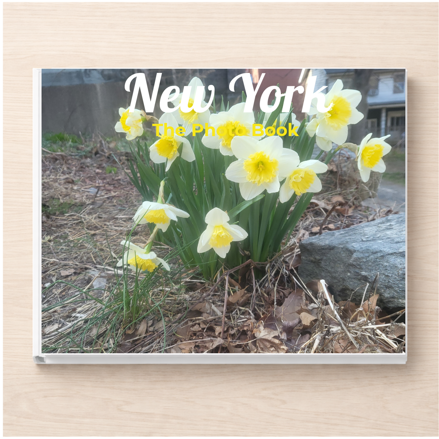 New York: The Photo Book