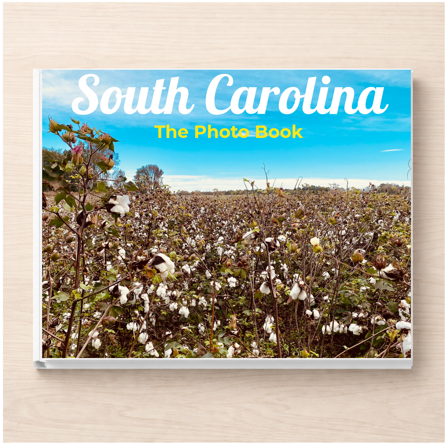 South Carolina: The Photo Book