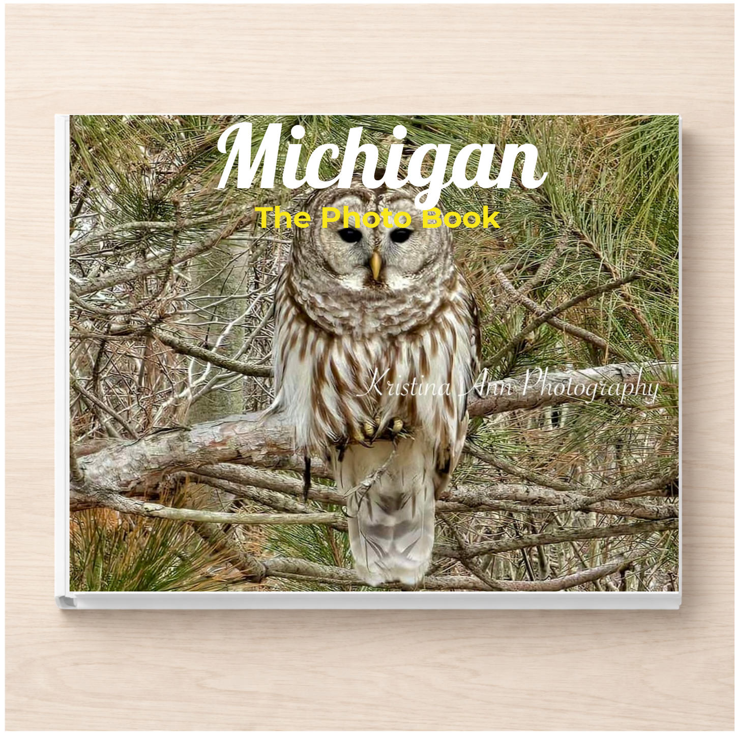 Michigan: The Photo Book