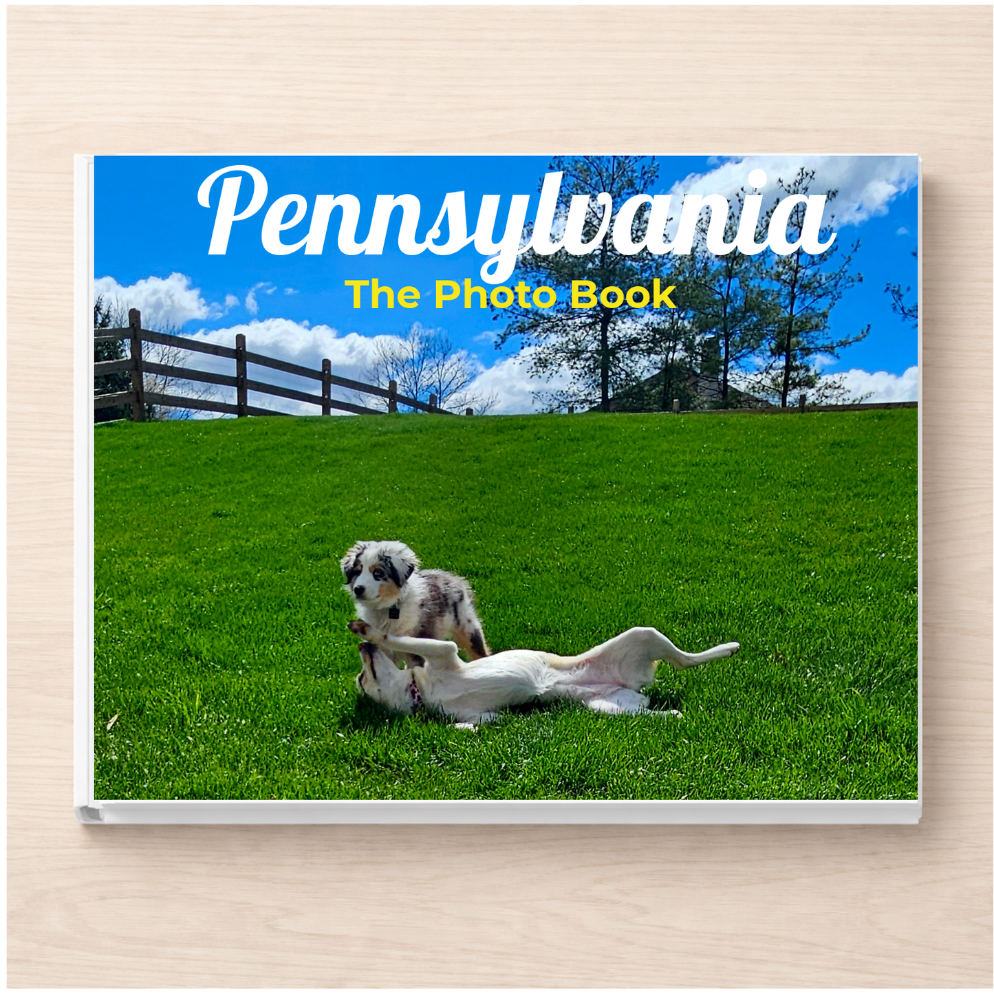 Pennsylvania: The Photo Book