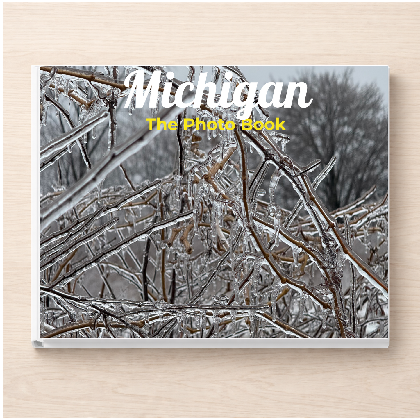 Michigan: The Photo Book