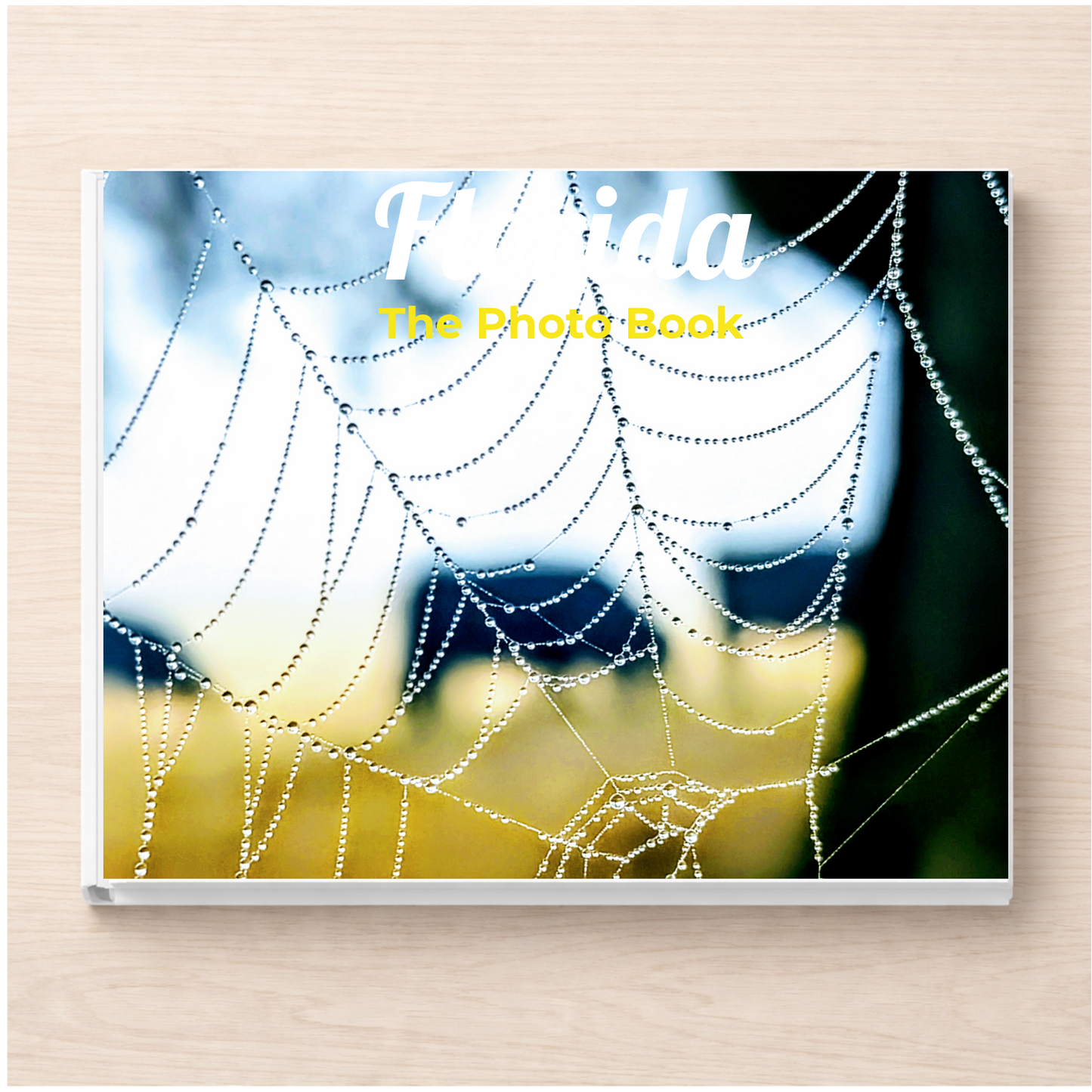 Florida: The Photo Book