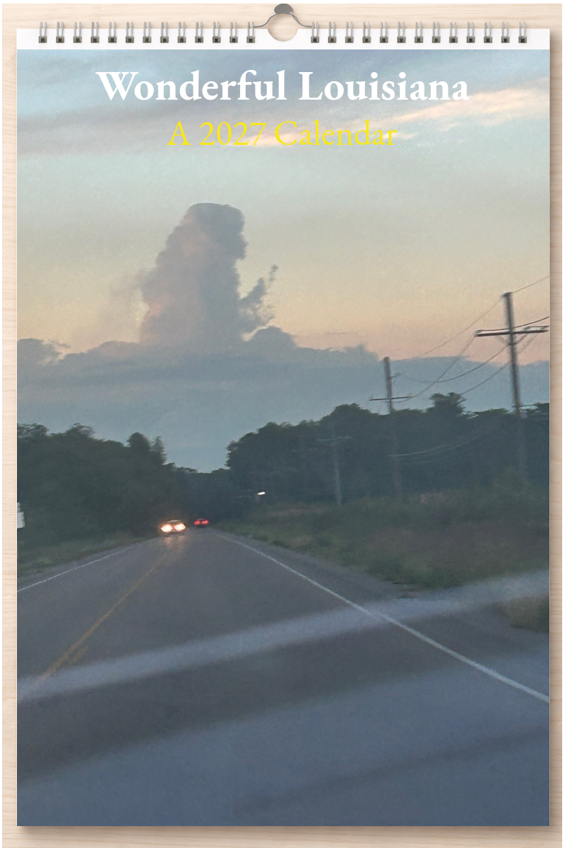 Wonderful Louisiana: A 2027 Calendar