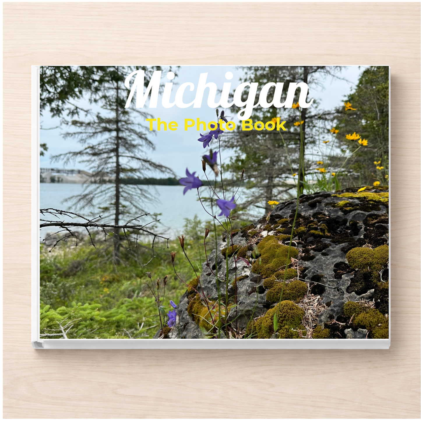 Michigan: The Photo Book