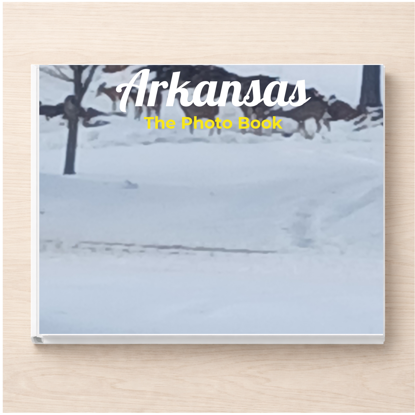 Arkansas: The Photo Book