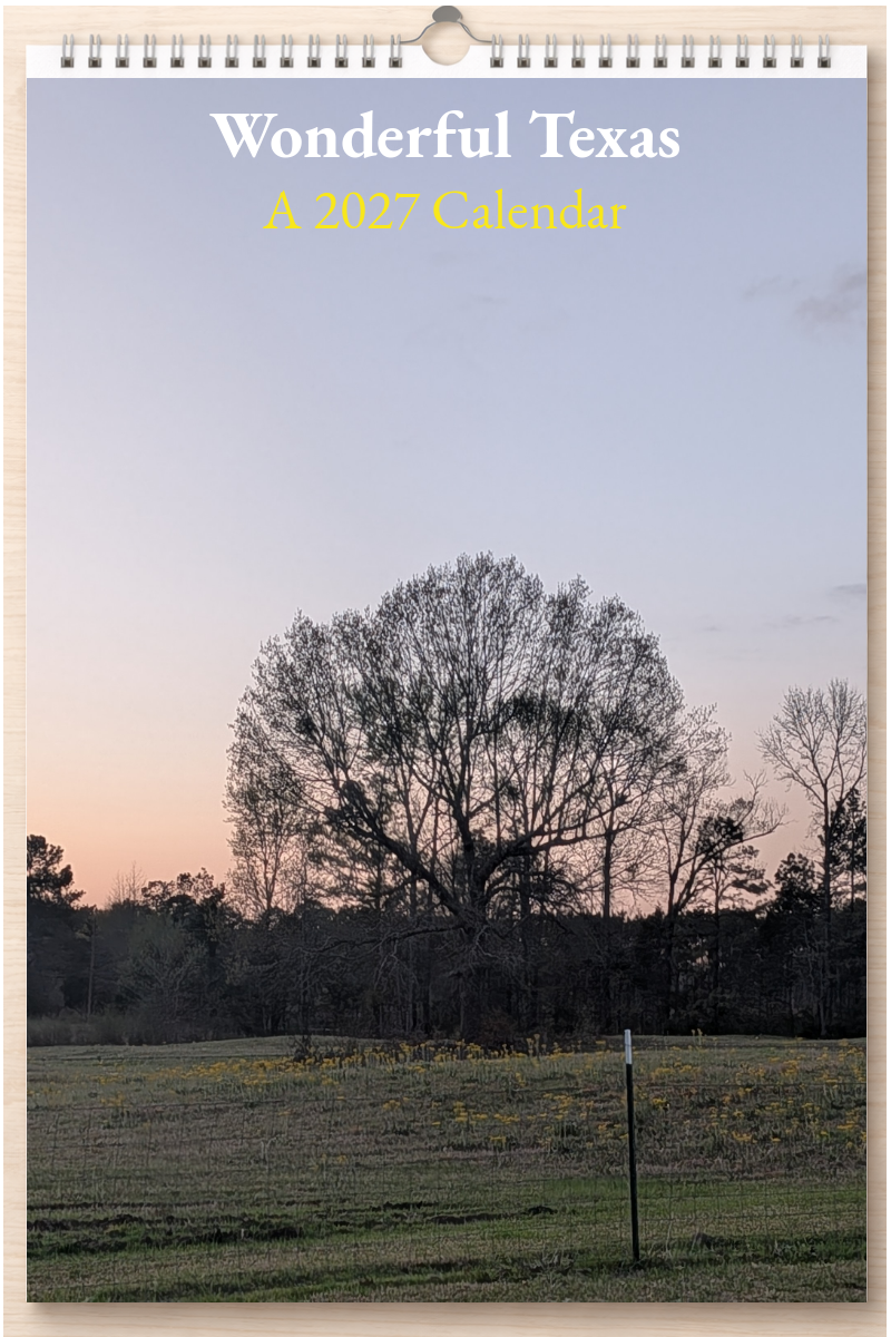 Wonderful Texas: A 2027 Calendar
