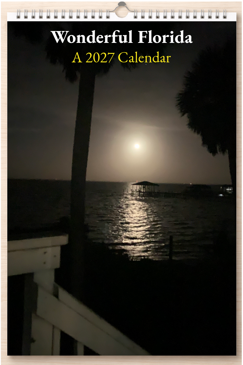 Wonderful Florida: A 2027 Calendar