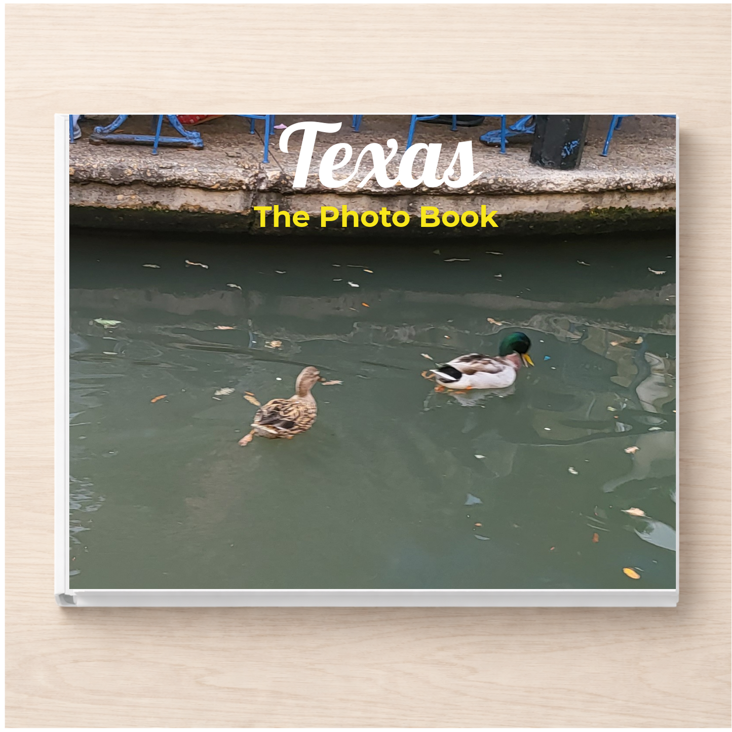 Texas: The Photo Book