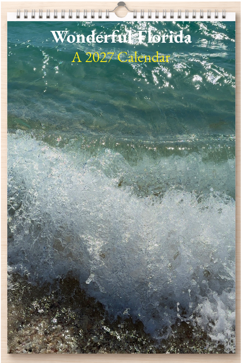 Wonderful Florida: A 2027 Calendar