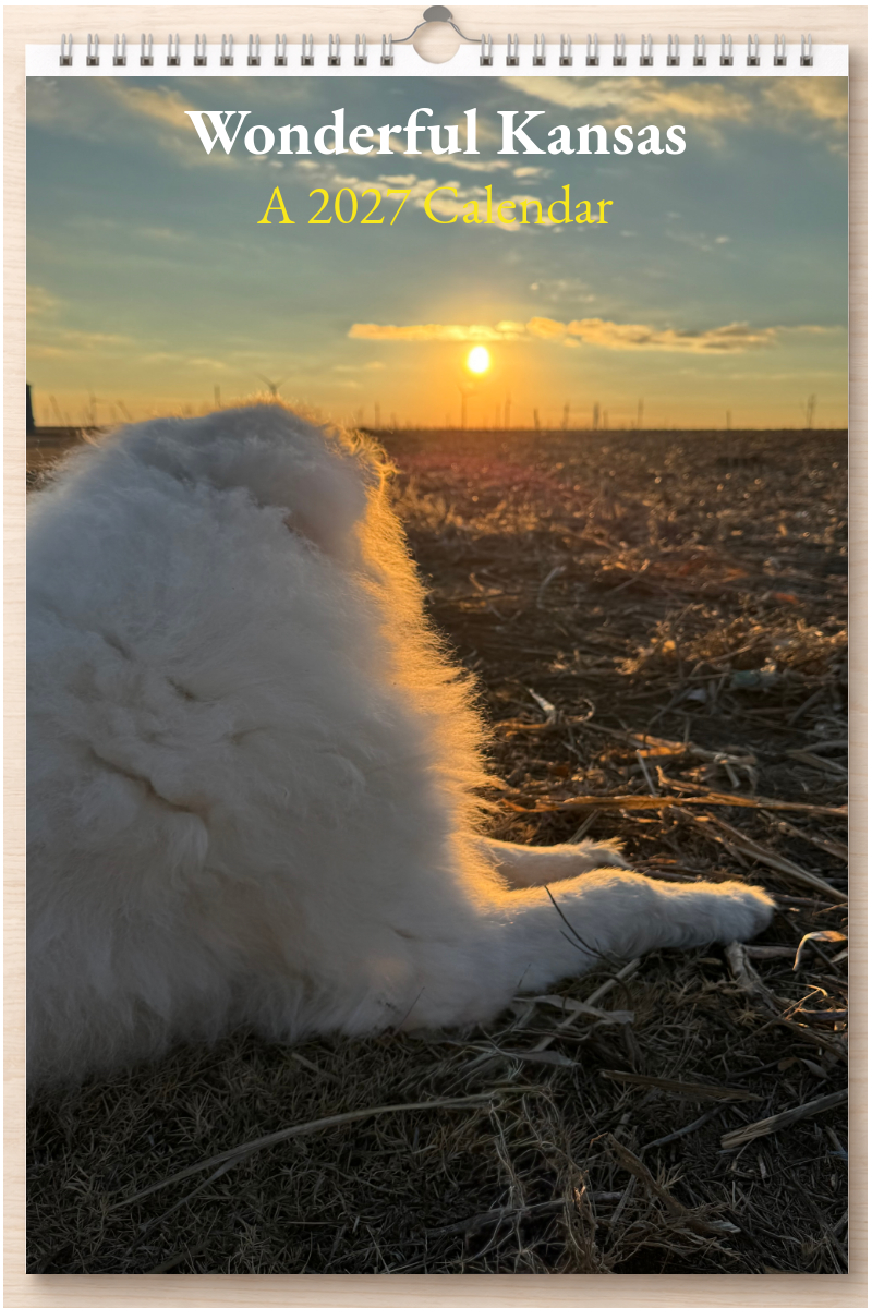 Wonderful Kansas: A 2027 Calendar