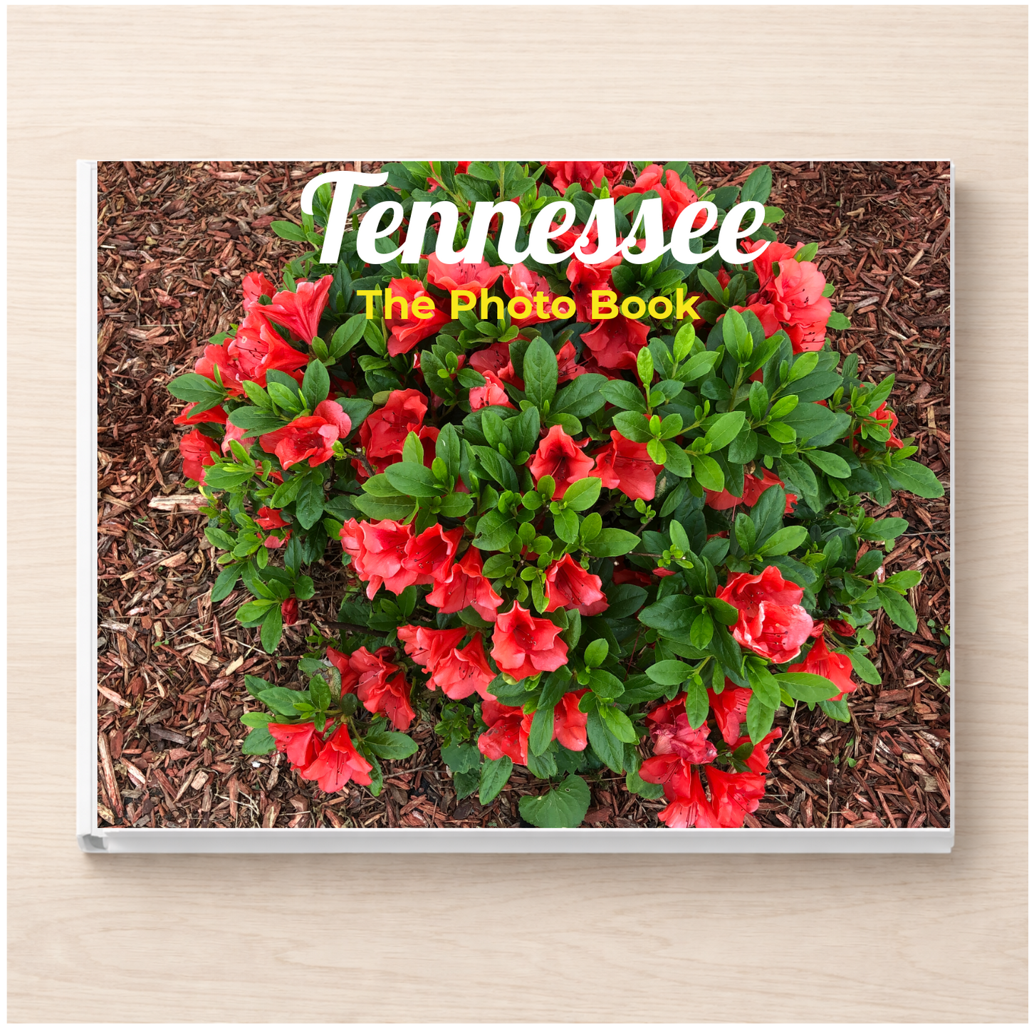 Tennessee: The Photo Book