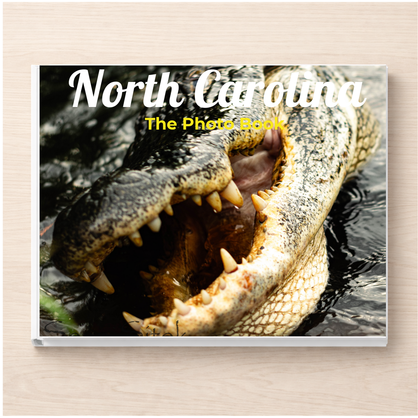 North Carolina: The Photo Book