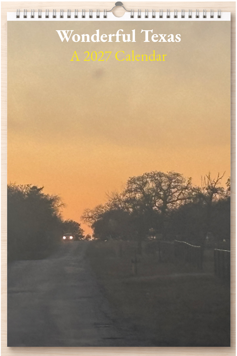 Wonderful Texas: A 2027 Calendar