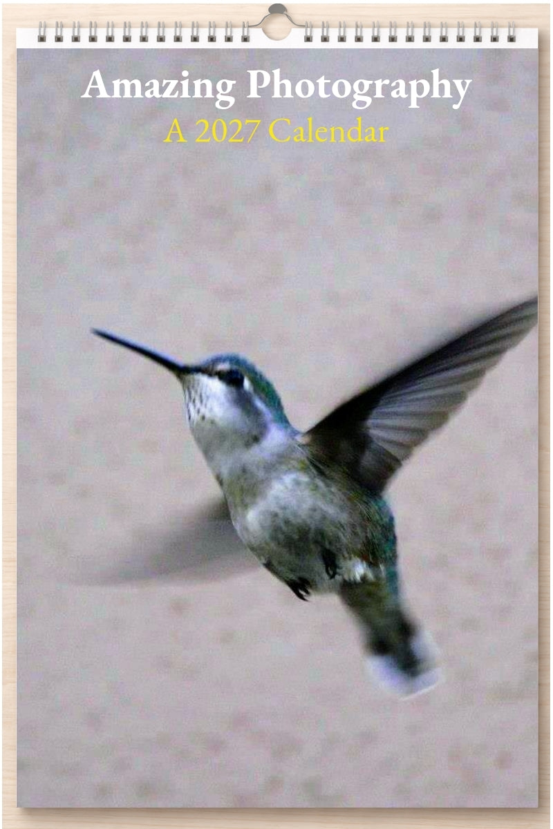 Amazing Photography: A 2027 Calendar