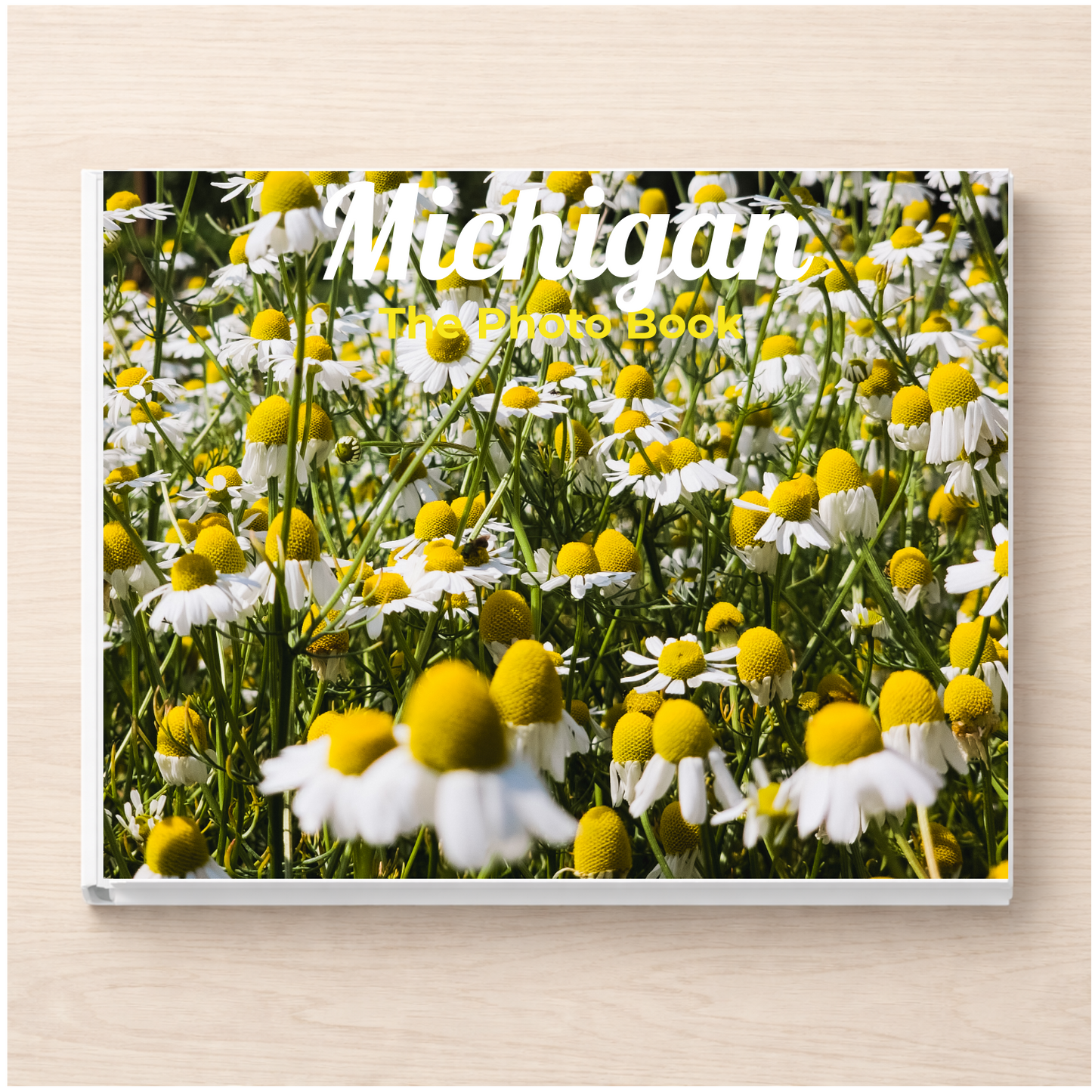 Michigan: The Photo Book