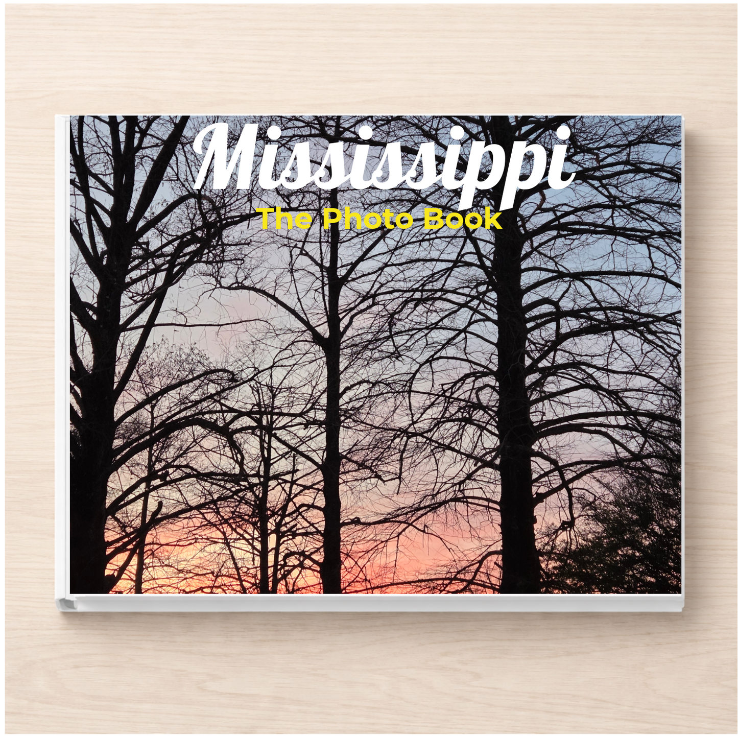 Mississippi: The Photo Book