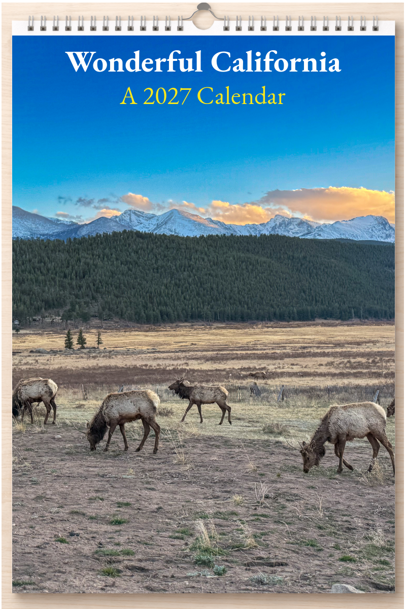 Wonderful California: A 2027 Calendar