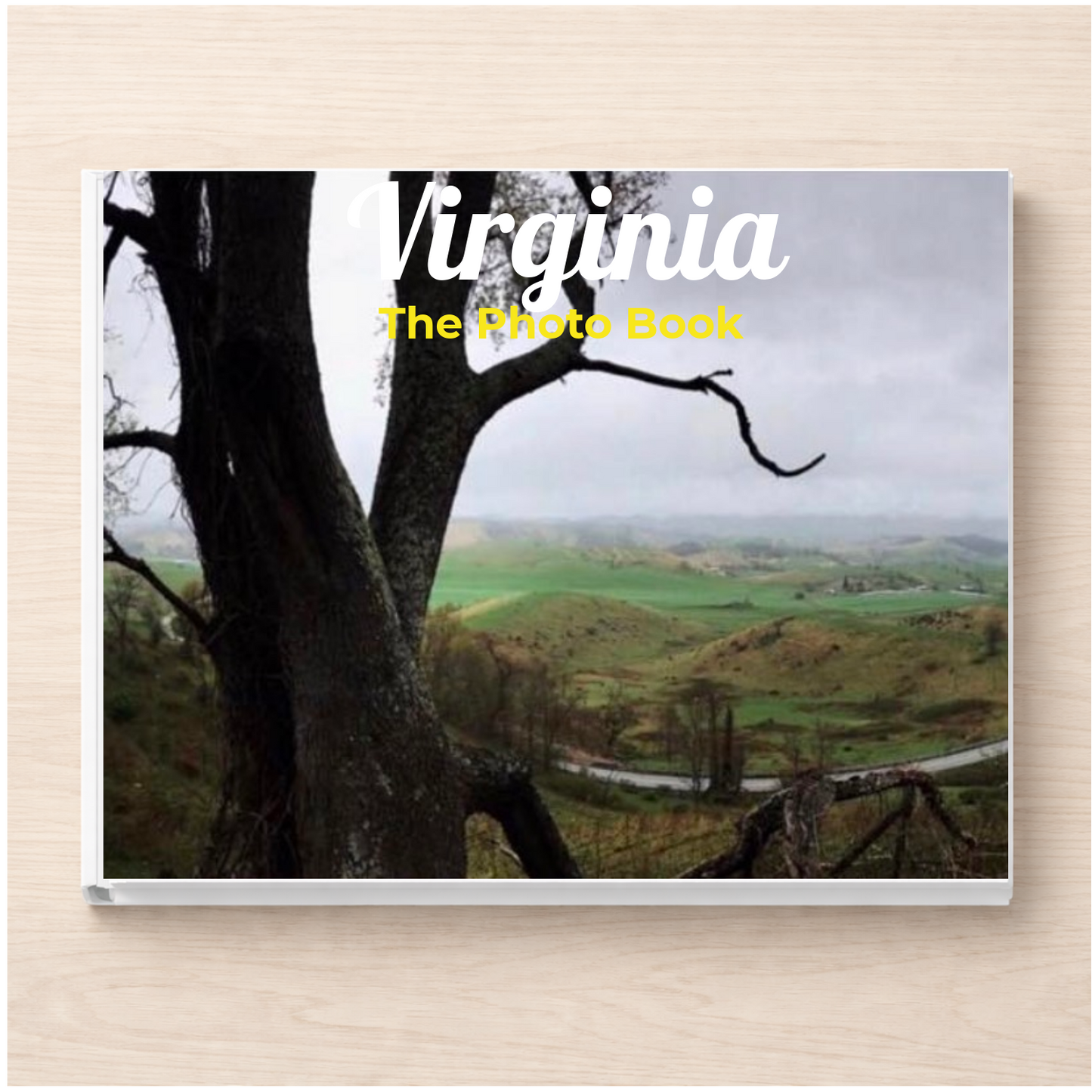 Virginia: The Photo Book