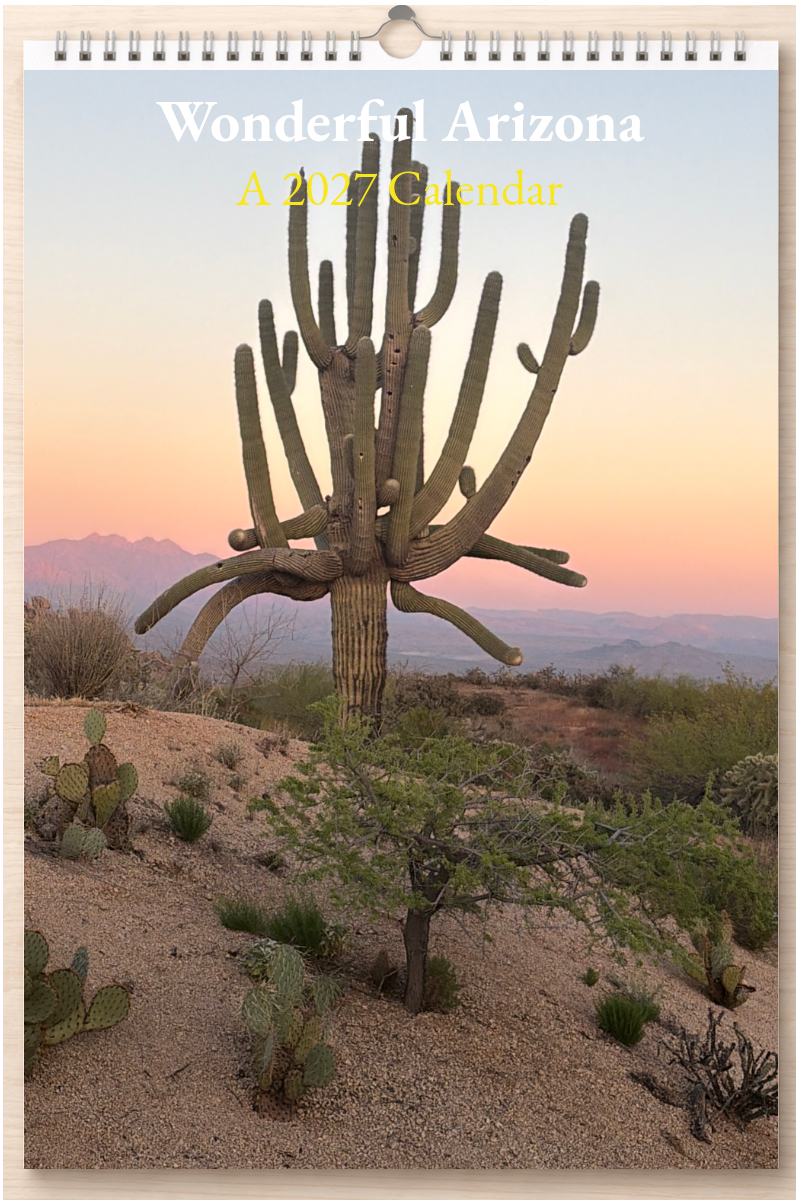 Wonderful Arizona: A 2027 Calendar