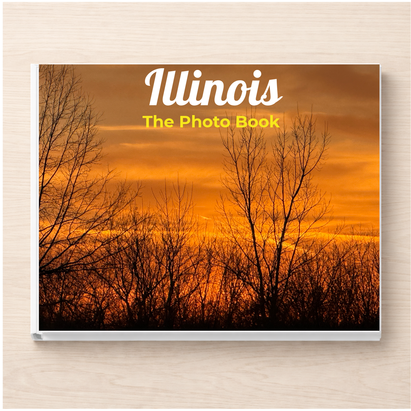 Illinois: The Photo Book