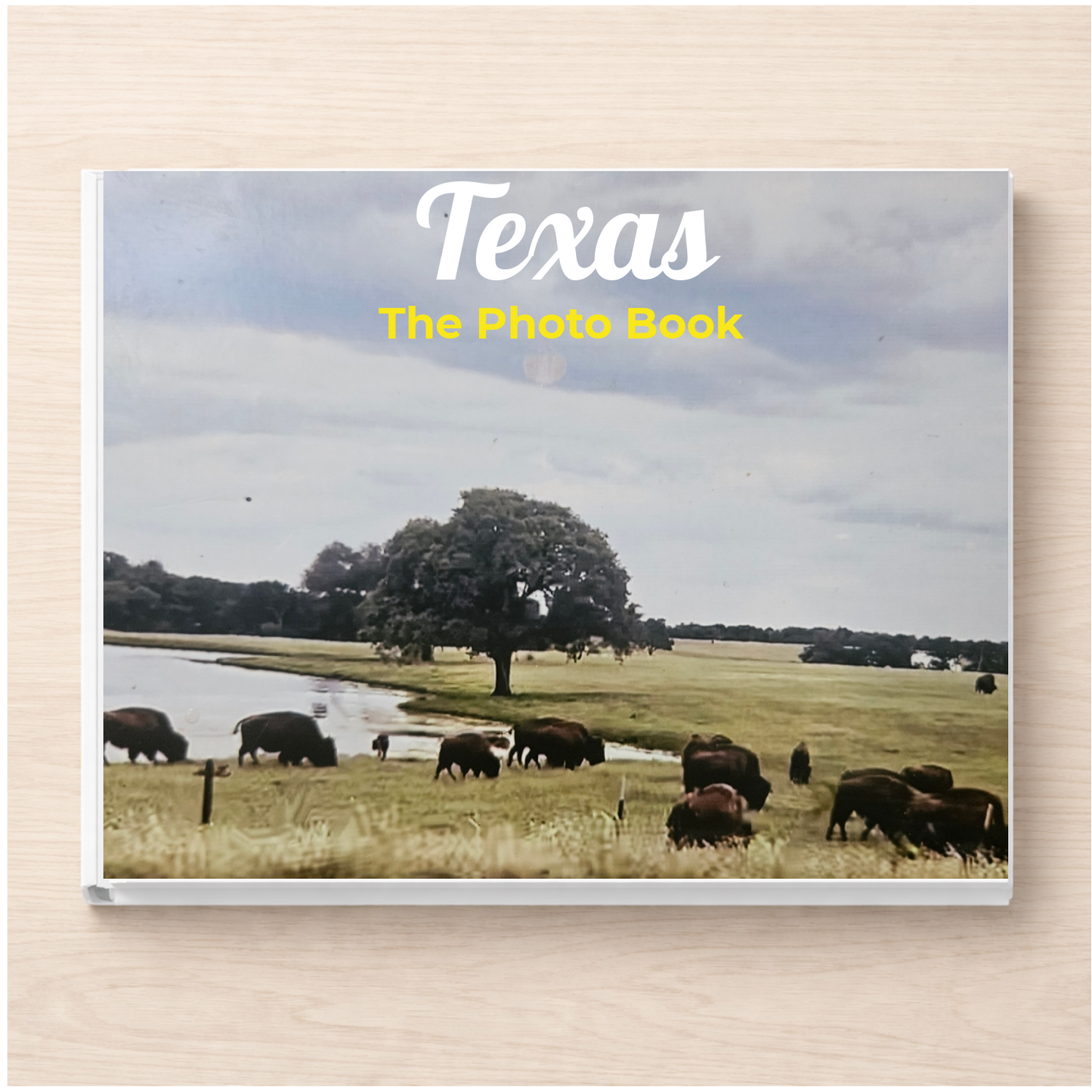 Texas: The Photo Book