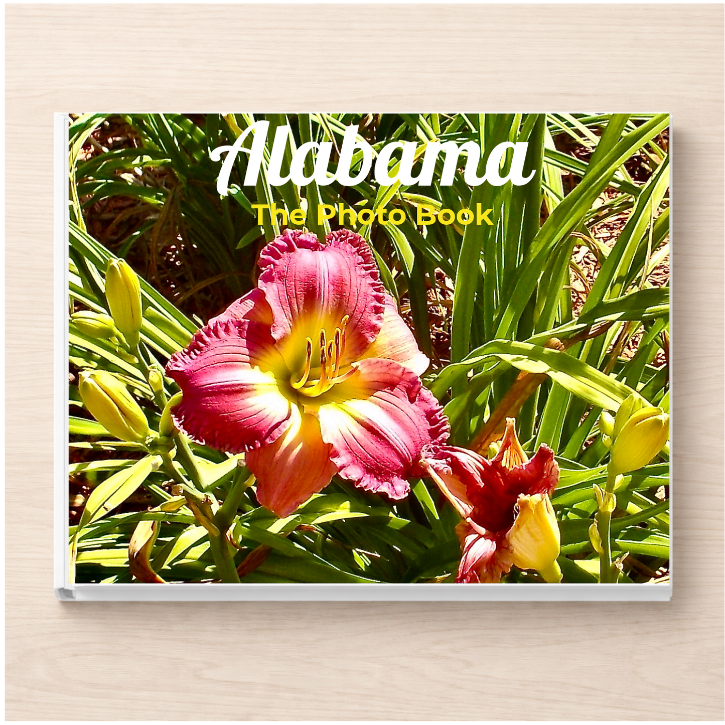 Alabama: The Photo Book
