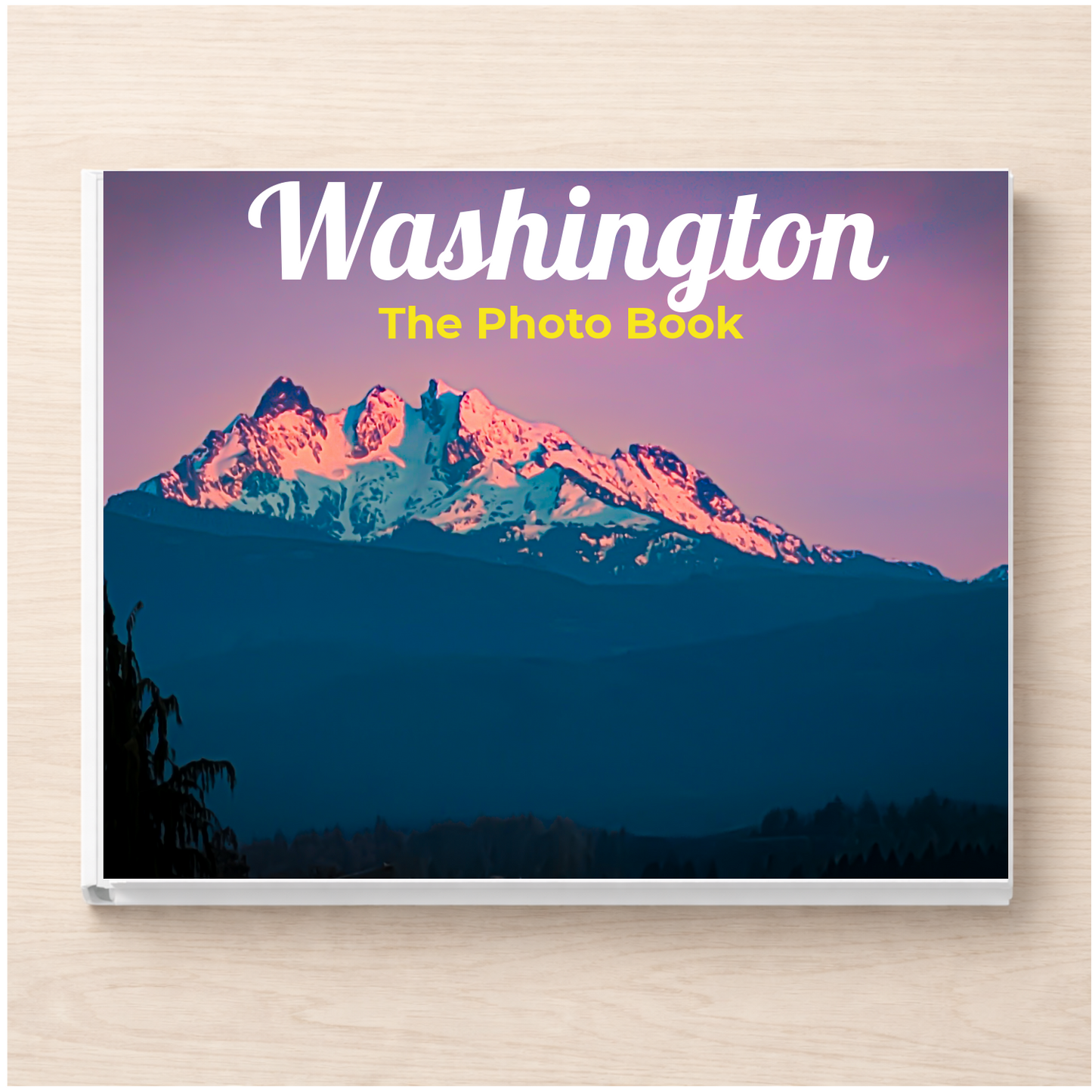 Washington: The Photo Book