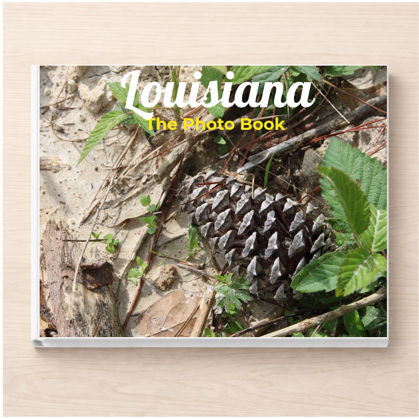 Louisiana: The Photo Book