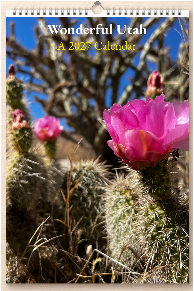 Wonderful Utah: A 2027 Calendar