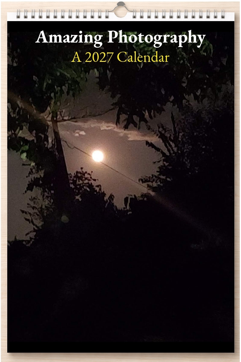Amazing Photography: A 2027 Calendar