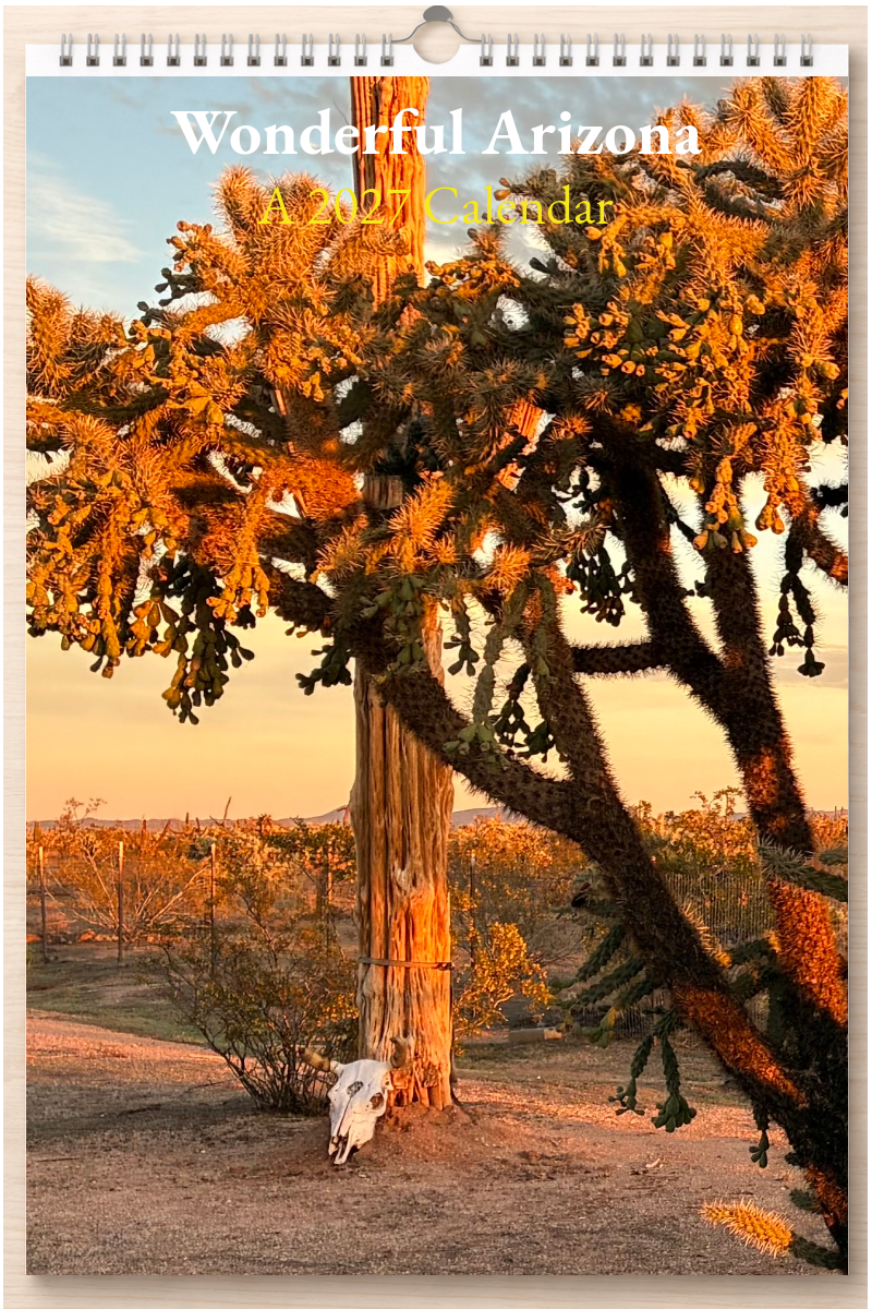 Wonderful Arizona: A 2027 Calendar