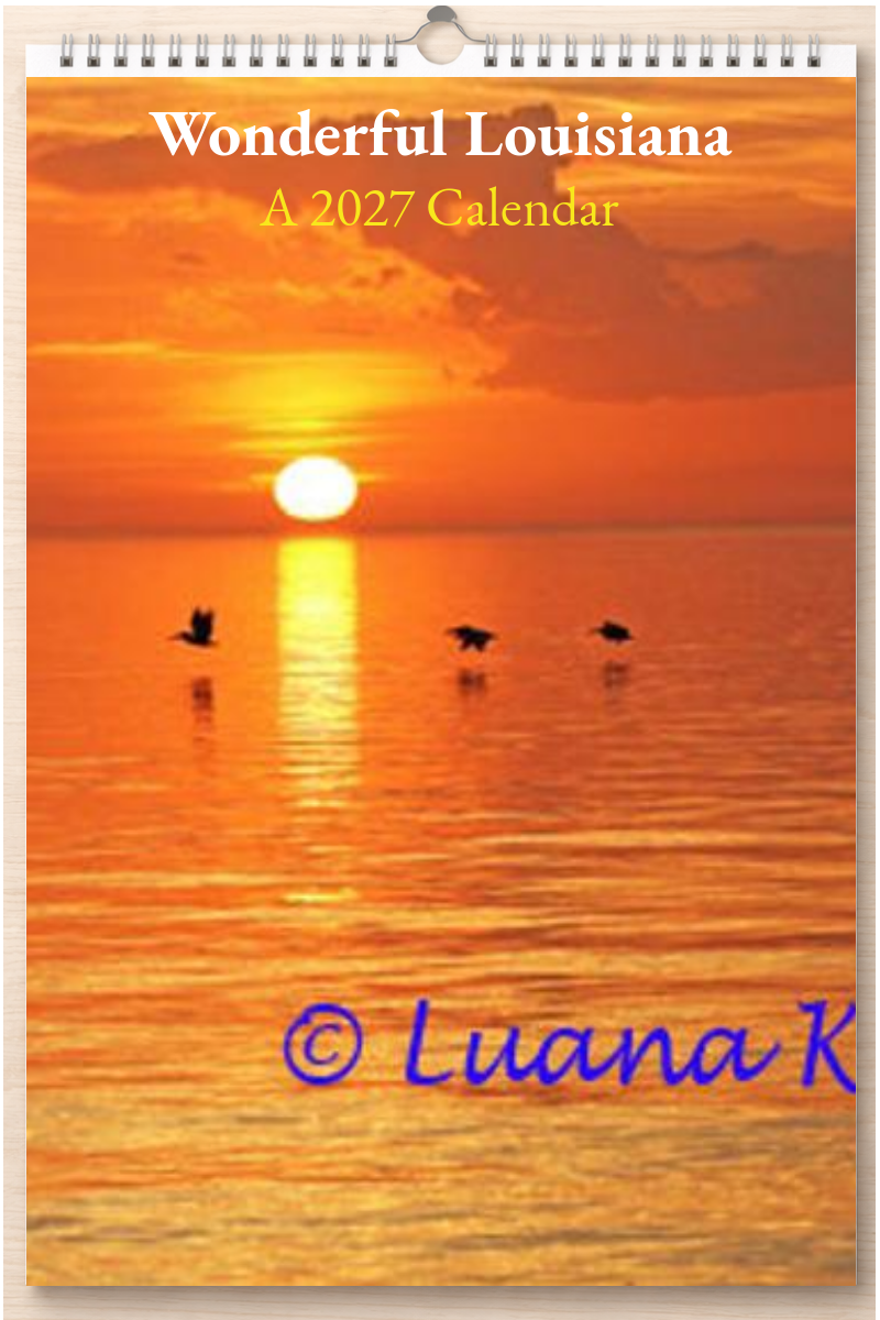 Wonderful Louisiana: A 2027 Calendar