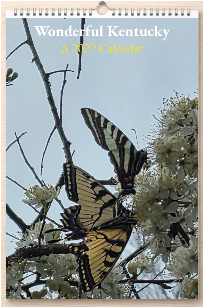 Wonderful Kentucky: A 2027 Calendar