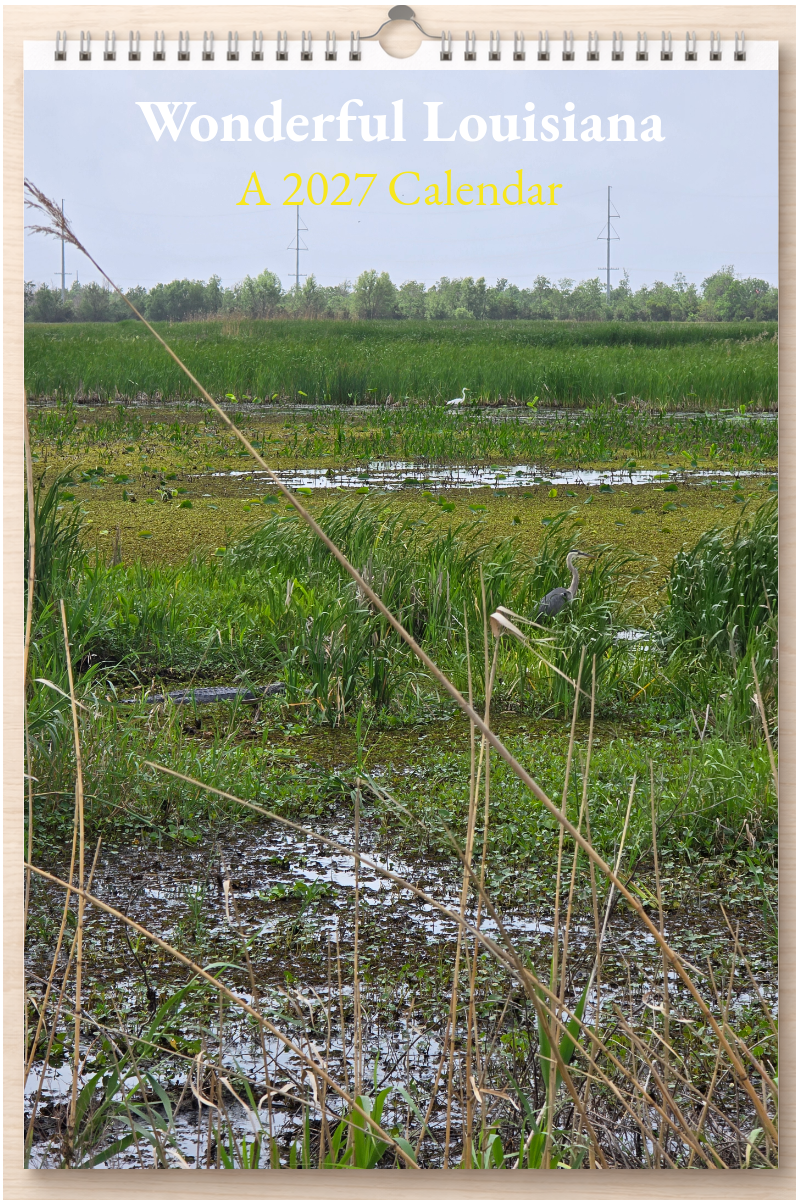 Wonderful Louisiana: A 2027 Calendar