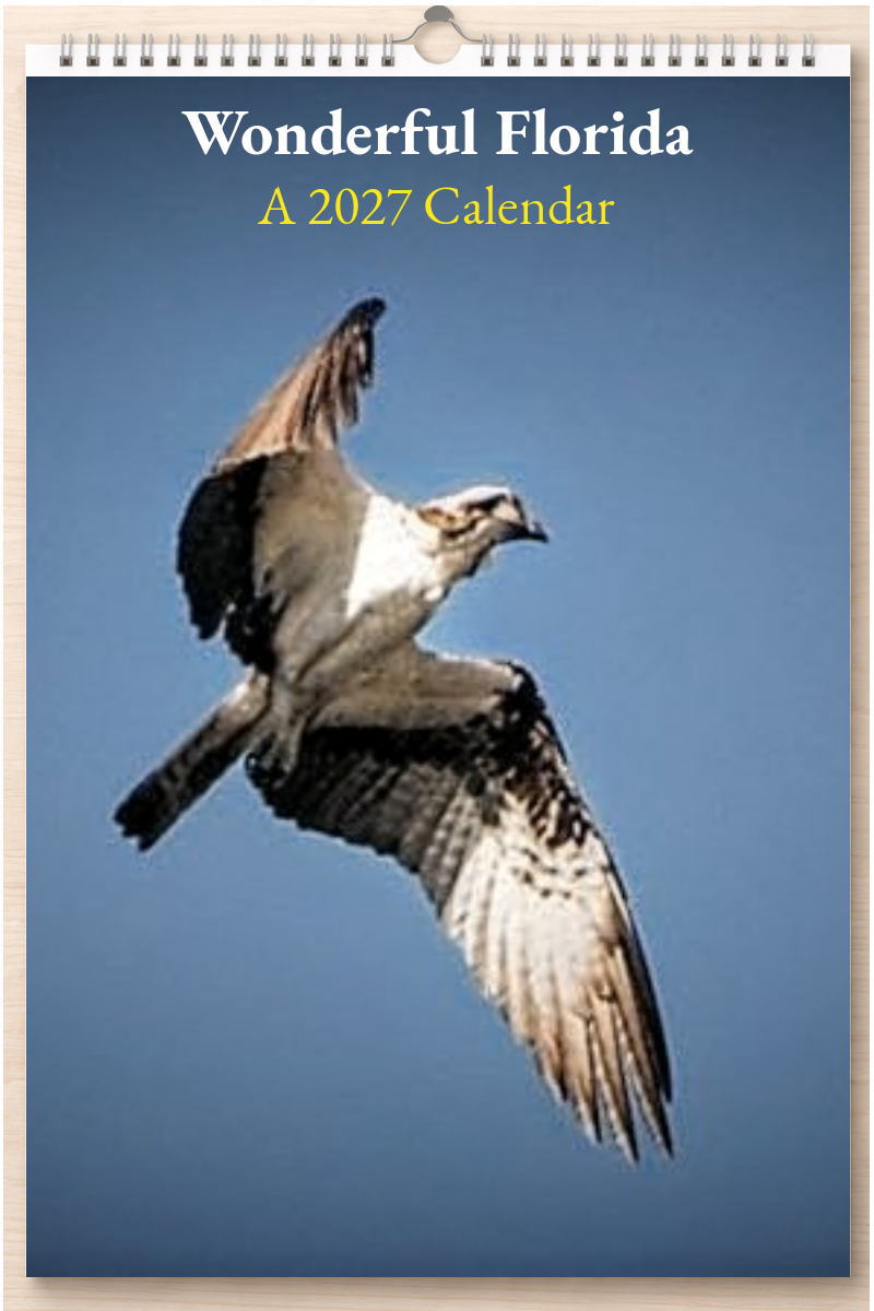 Wonderful Florida: A 2027 Calendar