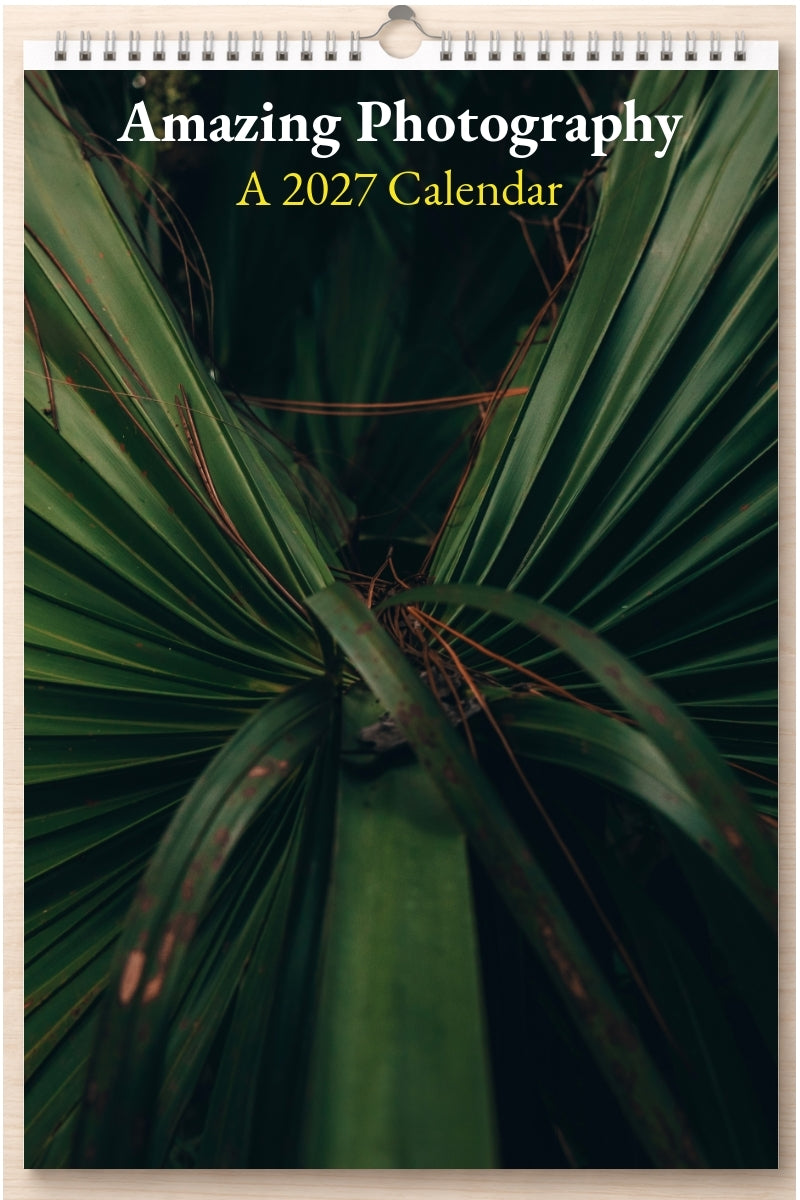 Amazing Photography: A 2027 Calendar