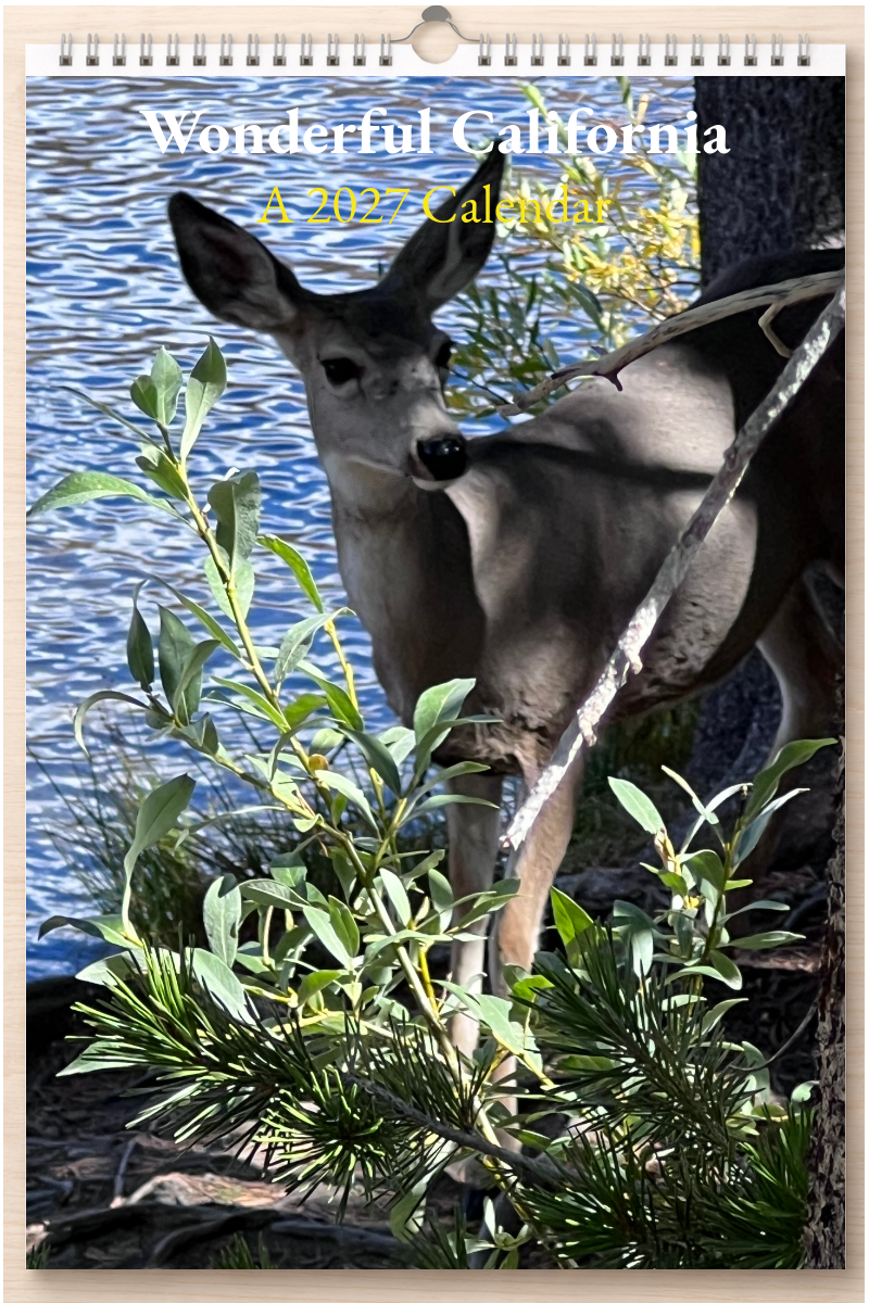 Wonderful California: A 2027 Calendar
