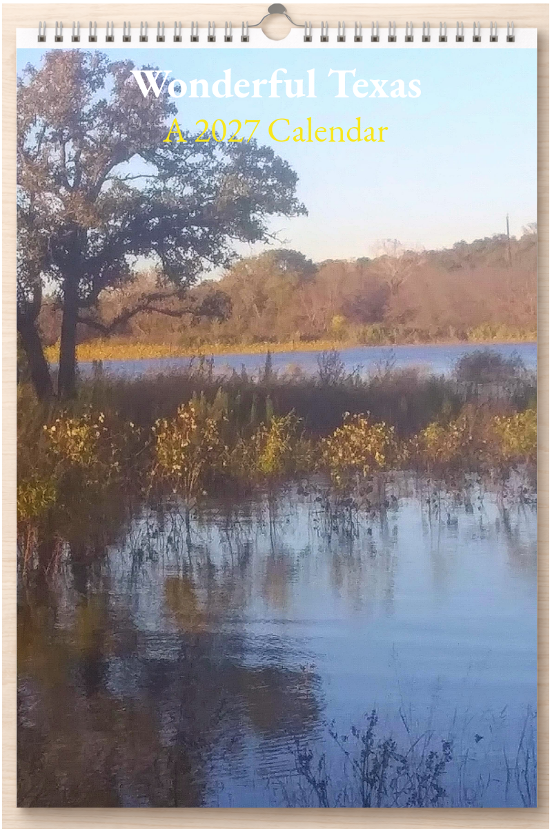 Wonderful Texas: A 2027 Calendar