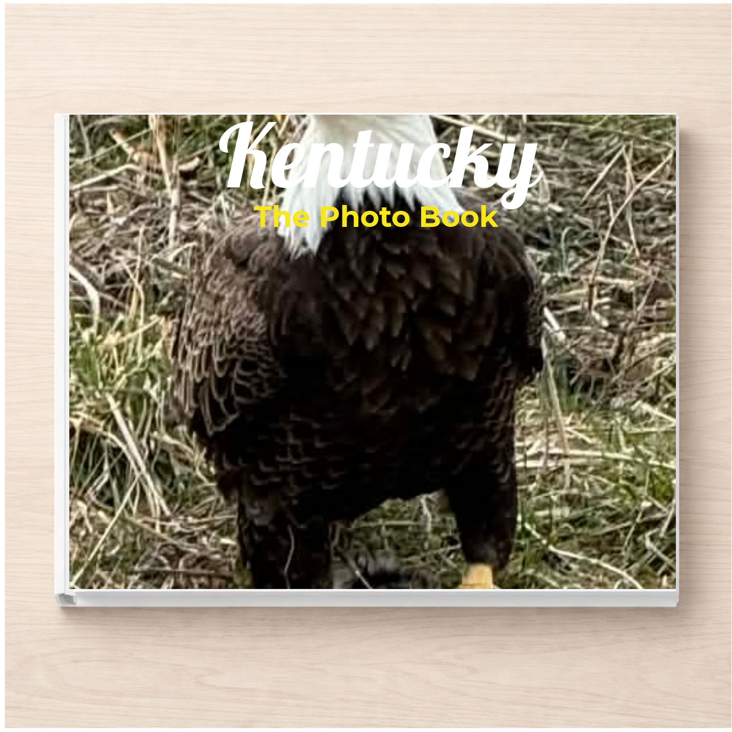 Kentucky: The Photo Book