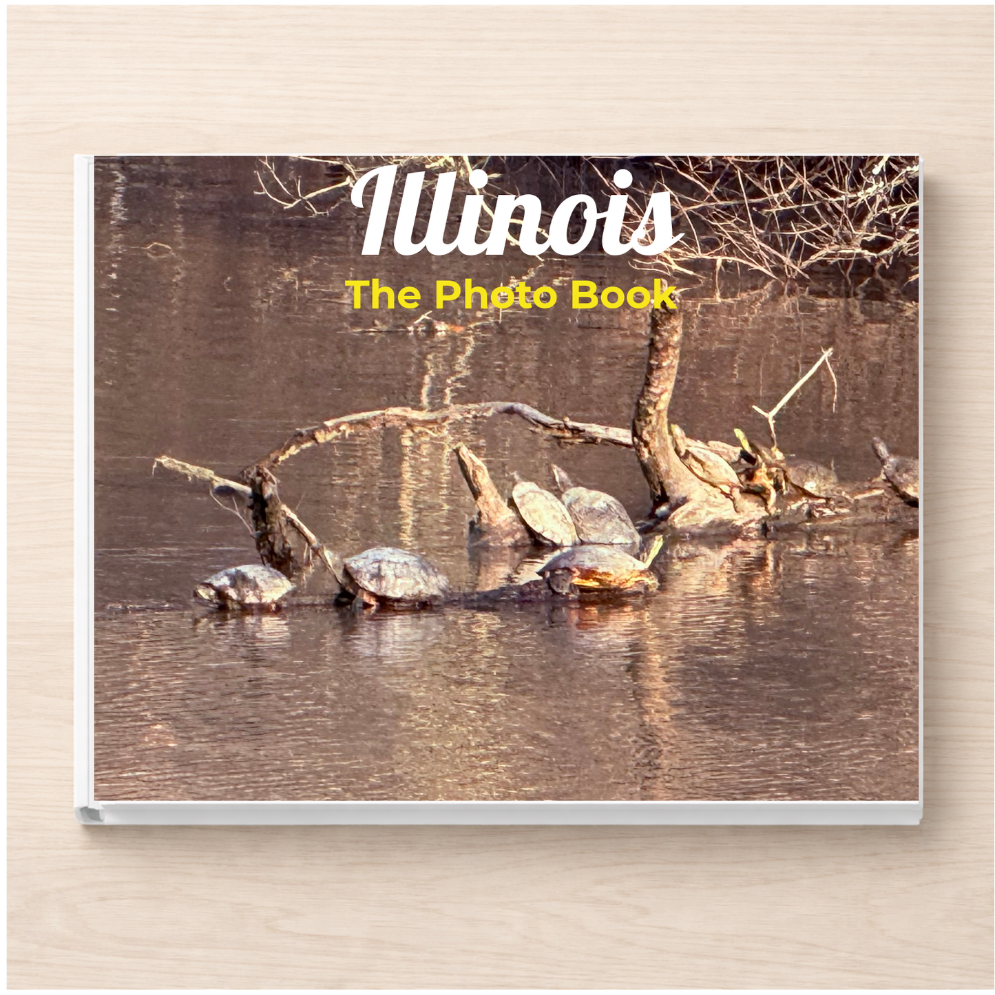 Illinois: The Photo Book