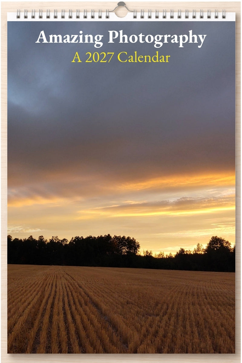 Amazing Photography: A 2027 Calendar