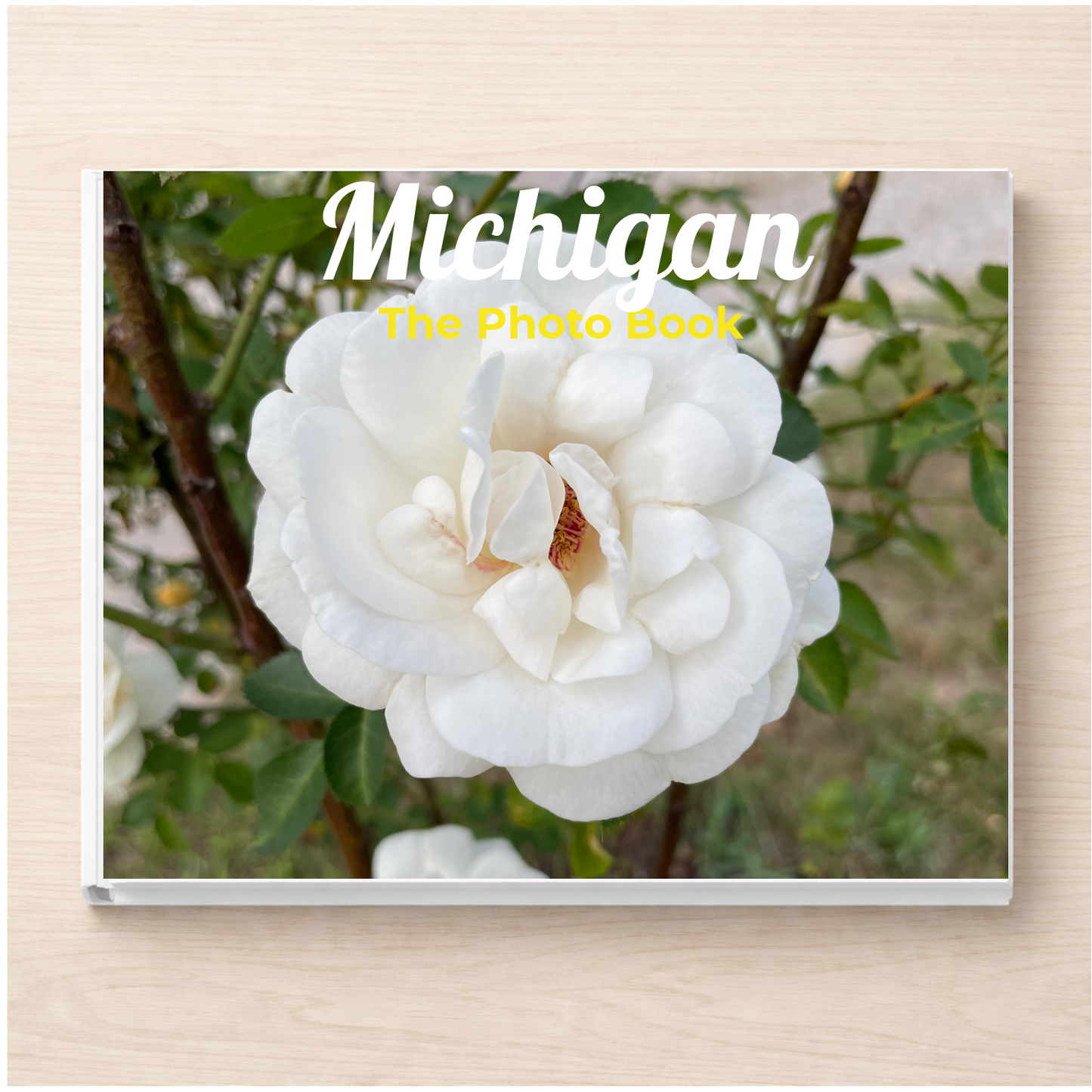 Michigan: The Photo Book