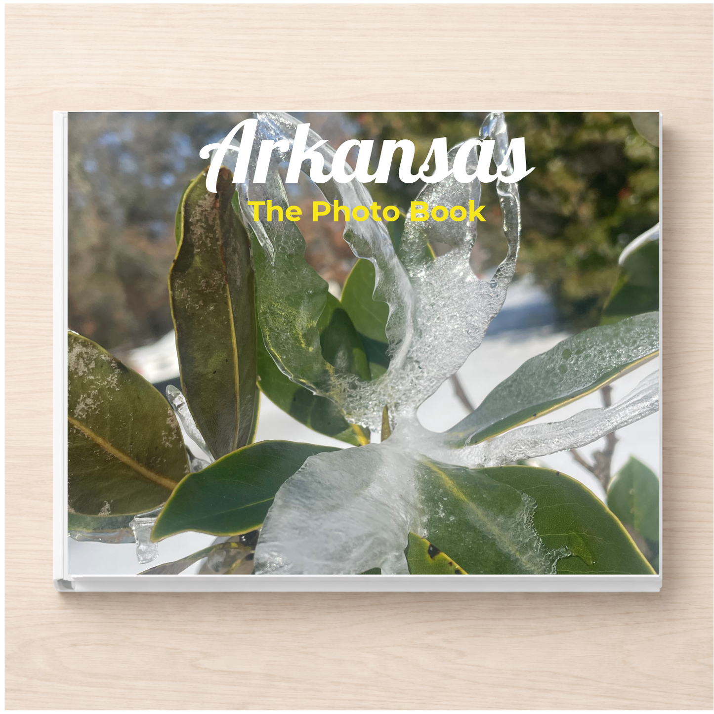 Arkansas: The Photo Book