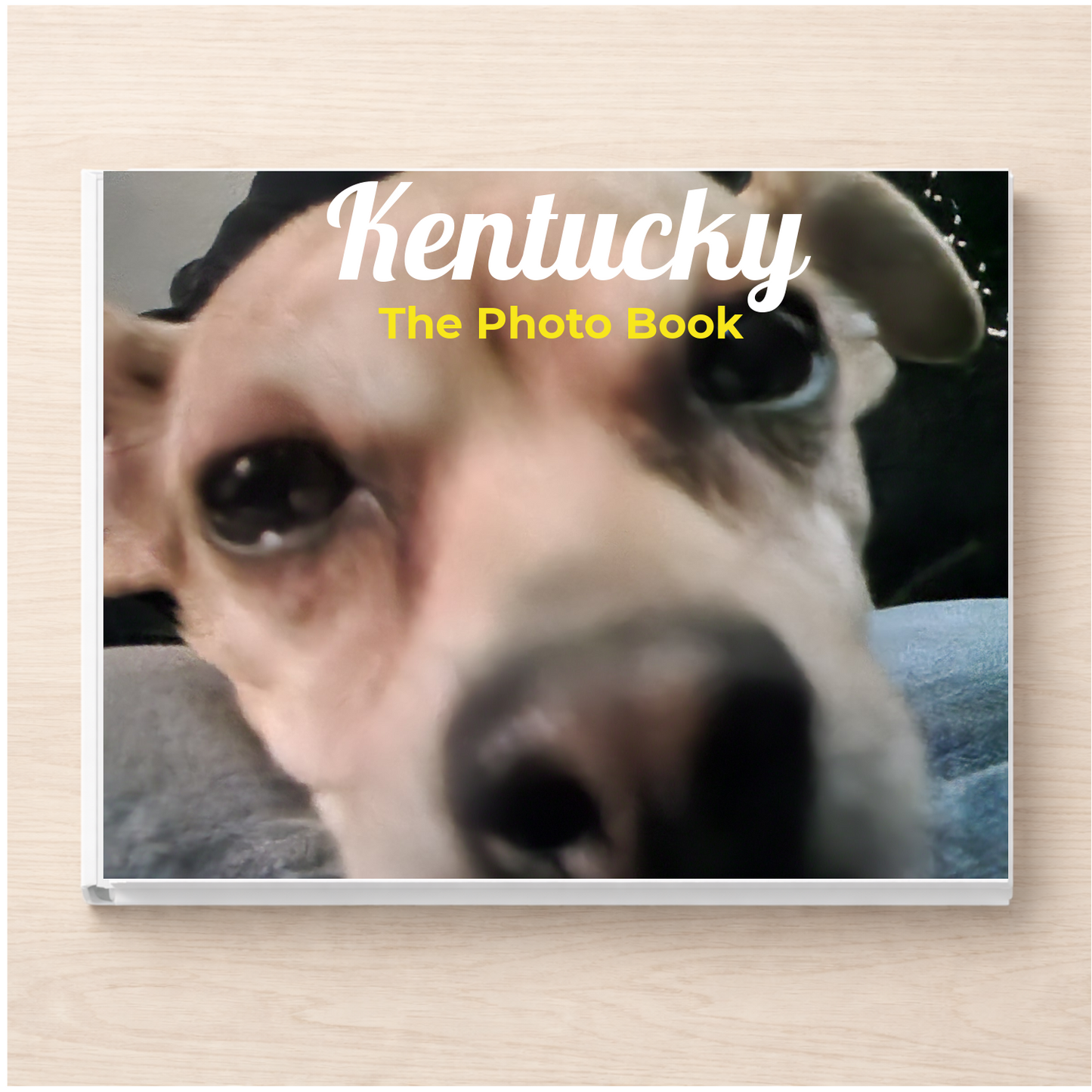 Kentucky: The Photo Book