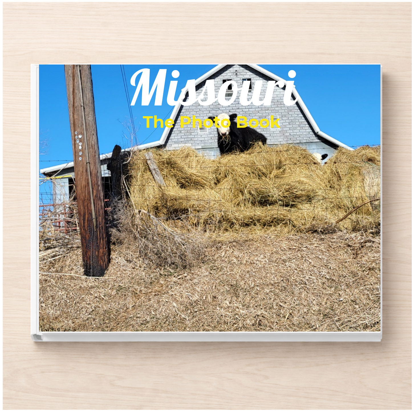 Missouri: The Photo Book