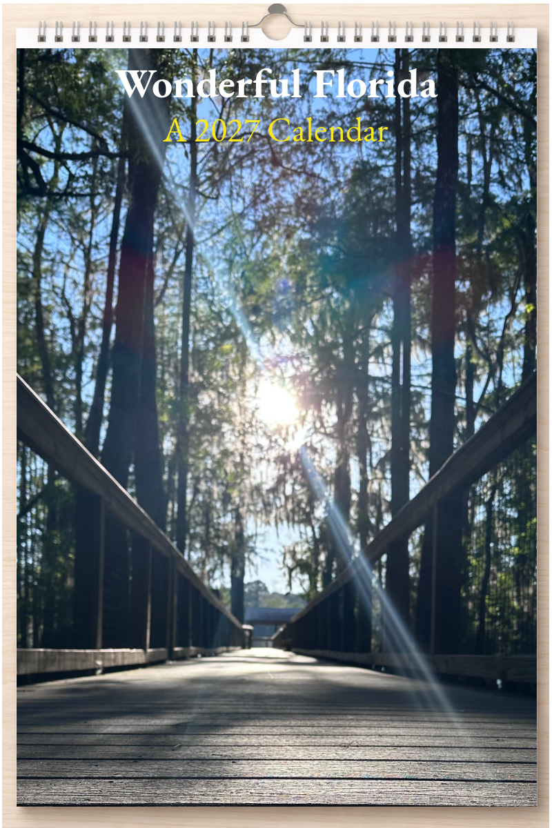 Wonderful Florida: A 2027 Calendar